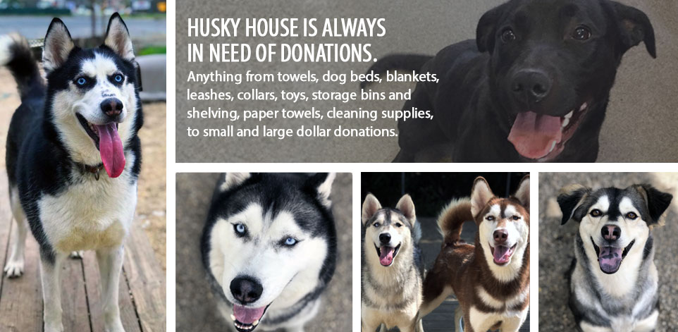 Husky House is always in need of donations. Anything from towels, dog beds, blankets,
                leashes and collars, toys, storage bins and shelving, paper towels, cleaning supplies,
                to small and large dollar donations.