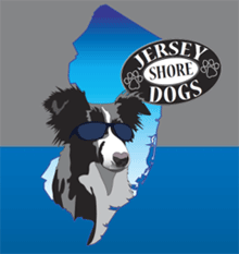Jersey Shore Dog Training