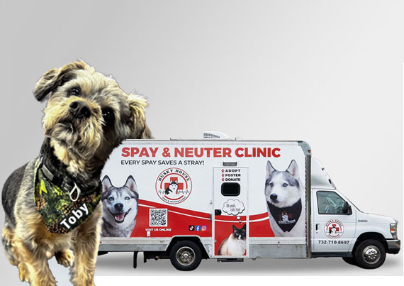 Donate to Husky House