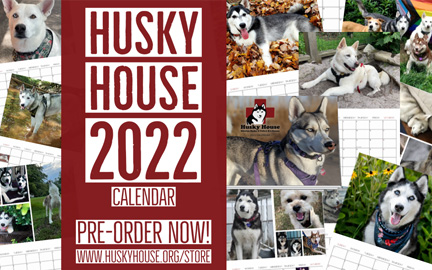 Image of Husky House 2022 Calendars