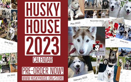 Image of Husky House 2023 Calendars