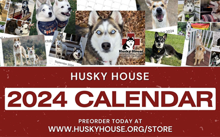 Image of 2024 Husky House Calendar