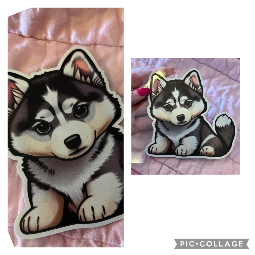 Image of XL Sticker of Husky Puppy