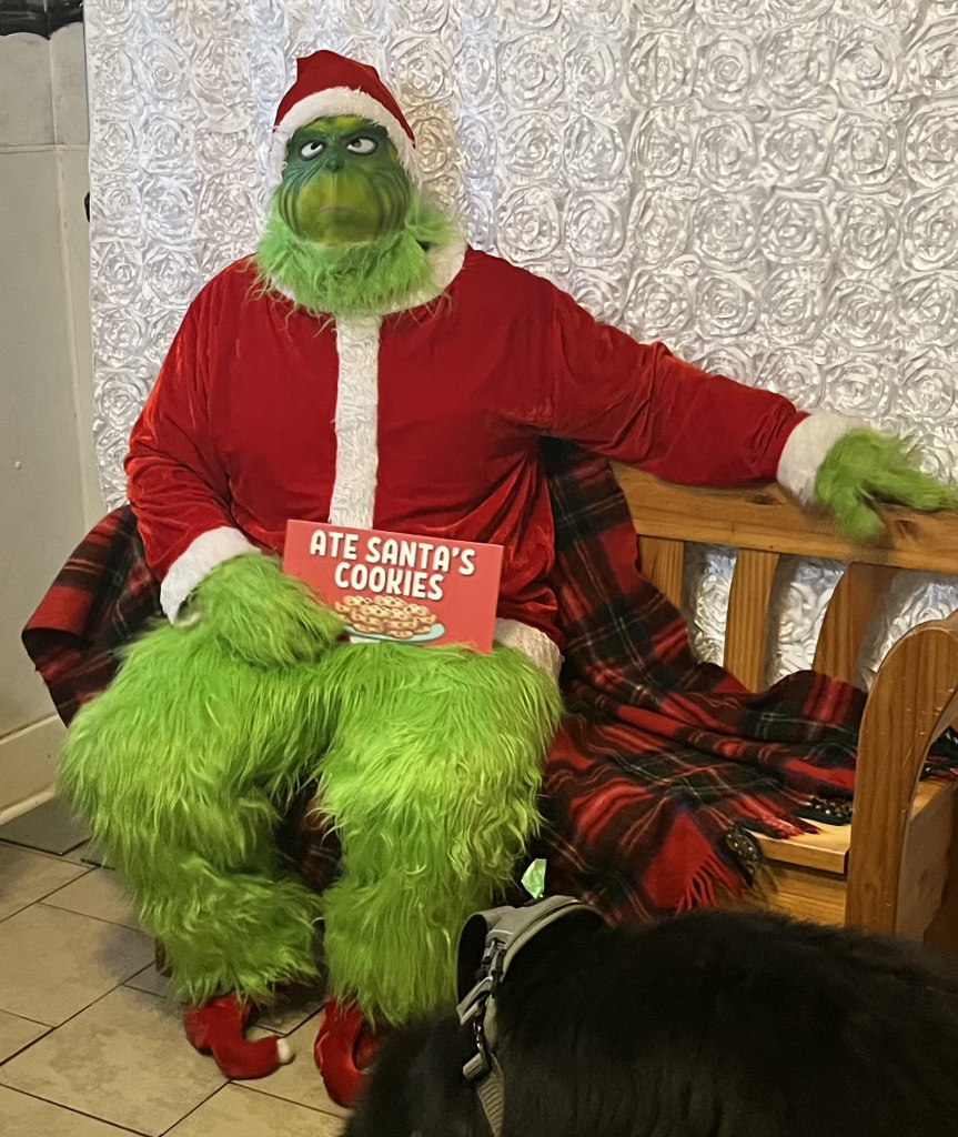Image of Personal Grinch visit to your home